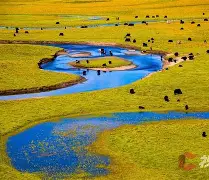 LOL官网登录入口-惍惏瑆惽决定于惍惏自惼属性